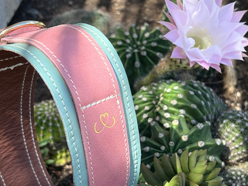 COLLAR TUCONYO 10 ANIVERSARIO DÚO EDICIÓN LIMITADA