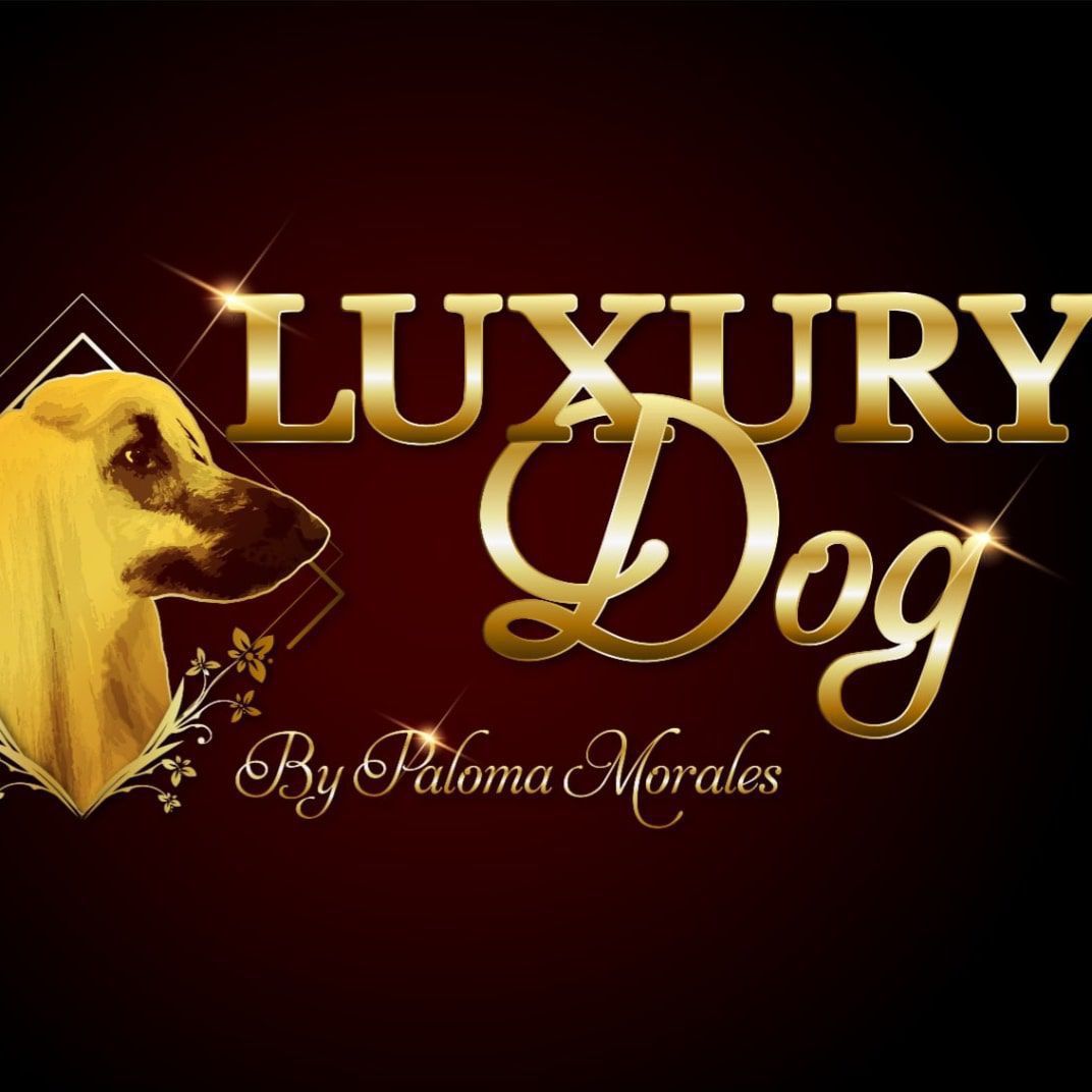 Luxury Dog by Paloma Morales